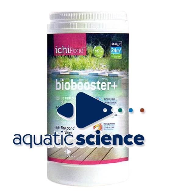 Biobooster + oxyder les algues filamenteuses